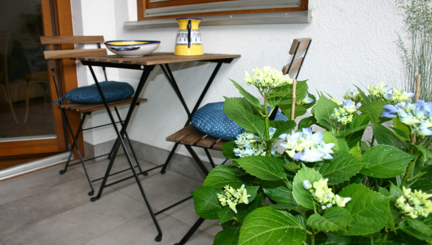 BALKON DLA KOTÓW NA MOKOTOWIE